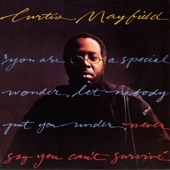 Curtis Mayfield - Sparkle