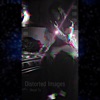 Distorted Images