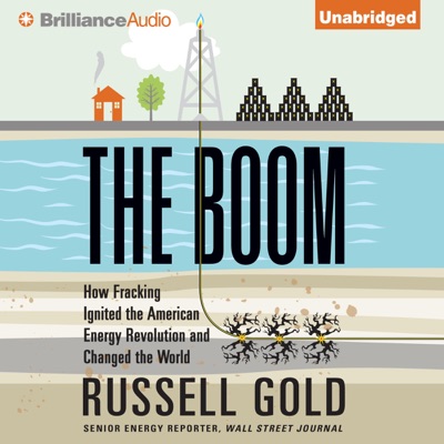The Boom: How Fracking Ignited the American Energy Revolution and Changed the World (Unabridged)