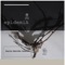 Apis Mellifera (feat. Vermillion Doll) - Epidemia lyrics