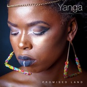 Promised Land (feat. Amanda Black & Soweto Gospel Choir) artwork
