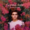 Common Sense by Joshua Bassett iTunes Track 1