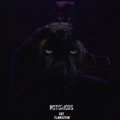 Notorious (Cat Transition) - Single by Maga album reviews, ratings, credits