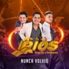 Nunca Volvió - Single