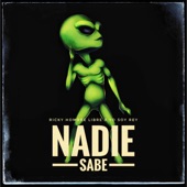 Nadie Sabe artwork