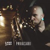 Pavasari - Single
