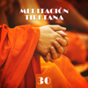 Meditación Tibetana: 30 Tonos Curativos para Mente, Cuerpo y Alma - Meditación Música Ambiente, Zona Música Relaxante & Buddhist Meditation Music Set