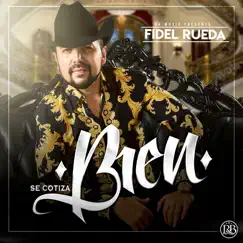 Se Cotiza Bien by Fidel Rueda album reviews, ratings, credits