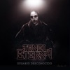 Tunel Eterna - Usuario Desconocido