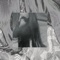 Baby Come On - Josefin Öhrn + The Liberation lyrics
