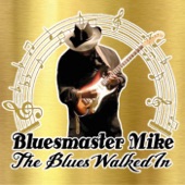 The Blues Walked In (feat. Ronnie B.) artwork