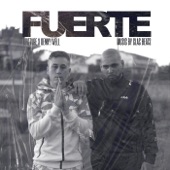 Fuerte artwork