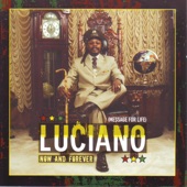 Luciano - I've Got to Rise