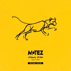 Steady Motion (feat. KWAYE) [Remixes] - EP by Motez album reviews, ratings, credits