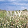 May - Single