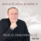 Ja Prosetah Sefteli Sokakom - Rizo Hamidovic lyrics