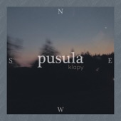 Pusula artwork