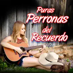 Puras Perronas del Recuerdo by Grupo Califórnia & Grupo Flechazo album reviews, ratings, credits