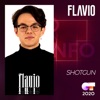 Shotgun by Flavio iTunes Track 1