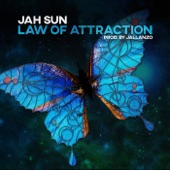 Law of Attraction artwork