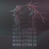 Never Letting Go - Single