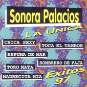 Sonora Palacios / Éxitos 97 artwork