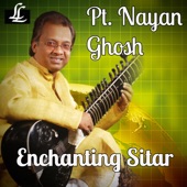 Enchanting Sitar artwork