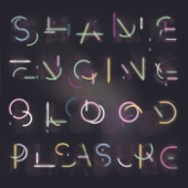 Shame Engine / Blood Pleasure artwork