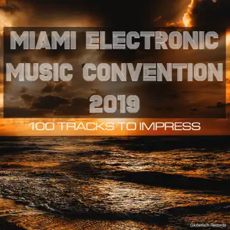 Miami Electronic Music Convention 2019: 100 Tracks to Impress by Various Artists album reviews, ratings, credits