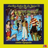 La Botija De Abuelito (feat. Camilo Azuquita) artwork