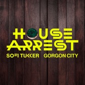 House Arrest artwork