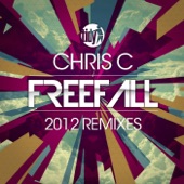 Freefall (Technikal Remix) artwork