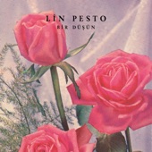 Lin Pesto - Bir Düşün