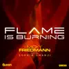 Flame Is Burning (feat. Sophia Omarji) - Single album lyrics, reviews, download