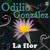 La Flor, 1997