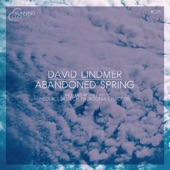 Abandoned Spring (HeoliK Remix) artwork