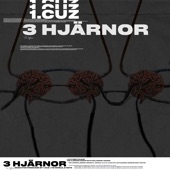 Tre Hjärnor - EP artwork