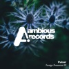 Foreign Presences - EP
