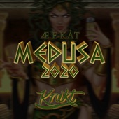 Æ E Kåt (Medusa 2020) artwork