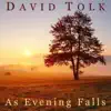 As Evening Falls - Single album lyrics, reviews, download
