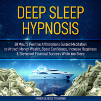 Mindfulness Training - Deep Sleep Hypnosis: 30 Minutes of Positive Affirmations: To Attract Money, Wealth, & Success while You Sleep artwork