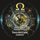 Vigilance (feat. Joshua Hales) artwork