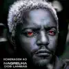Homenagem ao Nagrelha dos Lambas - Single album lyrics, reviews, download