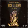 Burn It Down (feat. Demrick) - Single album lyrics, reviews, download