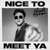 Niall Horan - Nice to Meet Ya  artwork