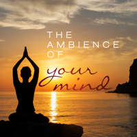 Various Artists - The Ambience of your Mind artwork