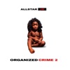 Organized Crime 2