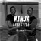 Ninja Freestyle artwork