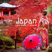 Japan You Don't Know artwork