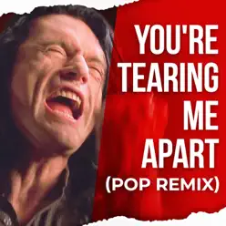 You're Tearing Me Apart (Pop Remix) [feat. Tommy Wiseau & Greg Sestero] - Single - The Gregory Brothers